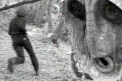 Il mistero di Boscoazzurro