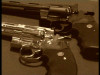 boxer_20121007_1132684813.jpeg