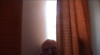 dressed_in_tragedy_20121008_1207427538.jpeg