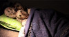 dressed_in_tragedy_20121008_1549684981.jpeg