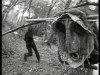 il_mistero_di_boscoazzurro_20121007_1035060675.jpeg