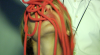 la_tempesta_nel_cervello_20121008_1169721456.png