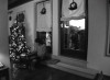 la_vita_che_si_muove_20121007_1335891798.jpeg