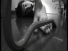lalba_dei_morti_viventi_20121015_1601572977.jpeg