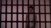 lamazzone_3_-_la_vendetta_20121007_1312745883.jpeg