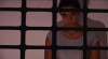 lamazzone_3_-_la_vendetta_20121007_1334089232.jpeg