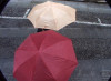 lasciati_a_secco_20121008_2097153088.jpeg