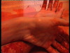 lestrema_facilit_dellinfierire_20121008_1297415261.jpeg