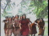 lost_in_the_land_of_my_movies_20121008_1534317409.jpeg