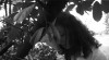 theresa_20121121_1990790754.jpeg