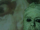 Shock Gallery