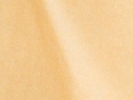 La Ragazza nella Scatola