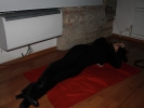 Studio's Night Fever