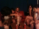 Studio's Night Fever