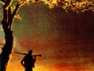 My 300 Best Movies Ever!