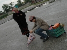 Matteo e Graziella