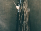foto di Graziella Menichelli