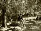 foto di Matteo Ierimonte