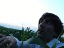foto di Matteo Ierimonte